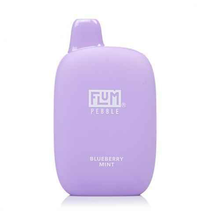 Picture of Flum Pebble Blueberry Mint 6K Puffs 10CT