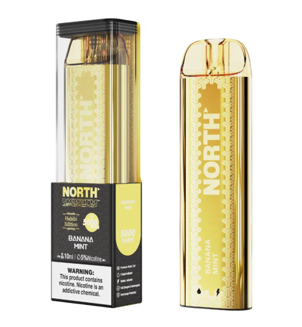 Picture of North Banana Mint 5000Puffs